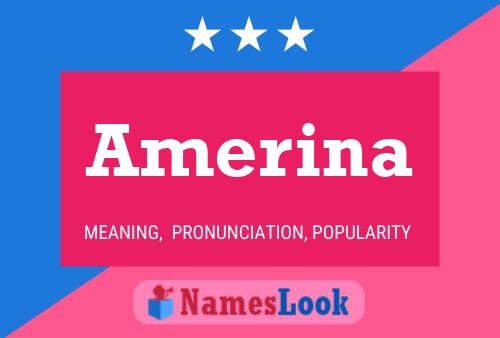 Póster del nombre Amerina