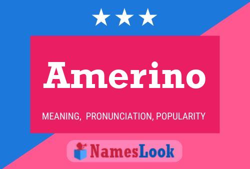 Póster del nombre Amerino