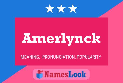 Póster del nombre Amerlynck