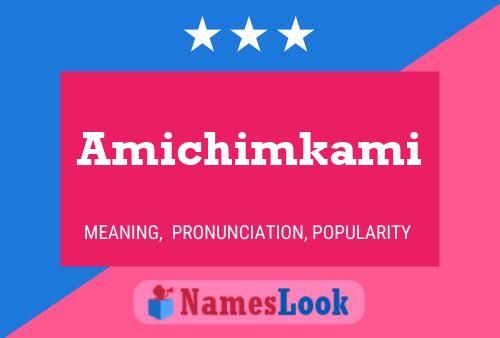 Póster del nombre Amichimkami