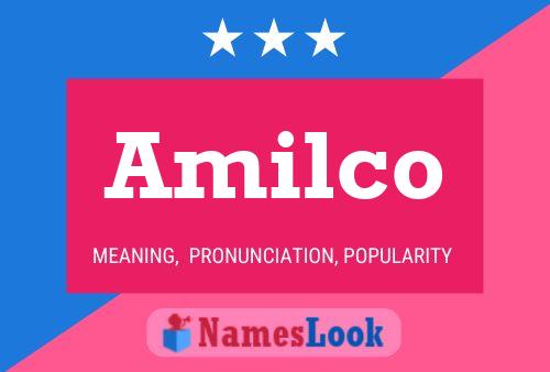 Póster del nombre Amilco