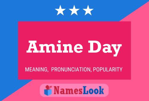 Póster del nombre Amine Day