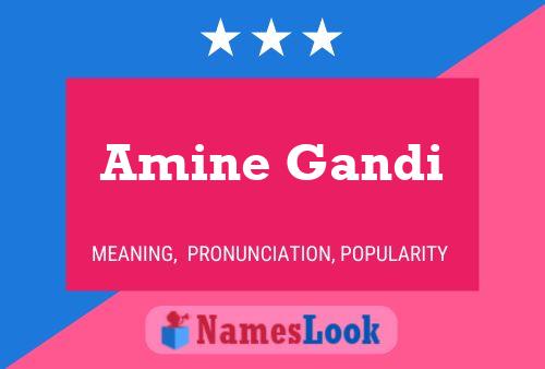 Póster del nombre Amine Gandi