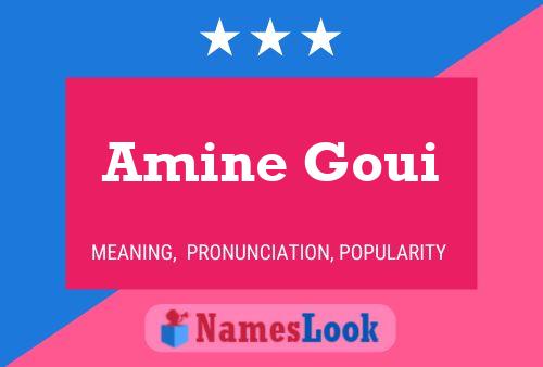 Póster del nombre Amine Goui