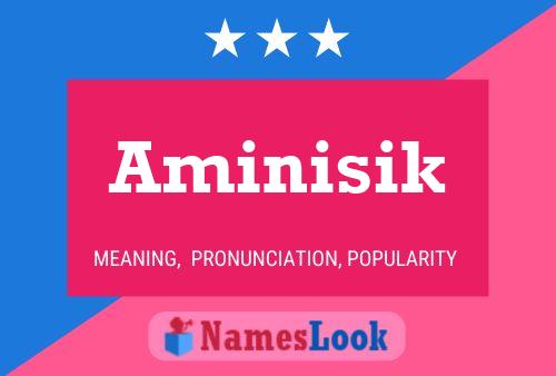 Póster del nombre Aminisik