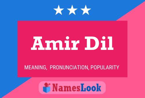 Póster del nombre Amir Dil