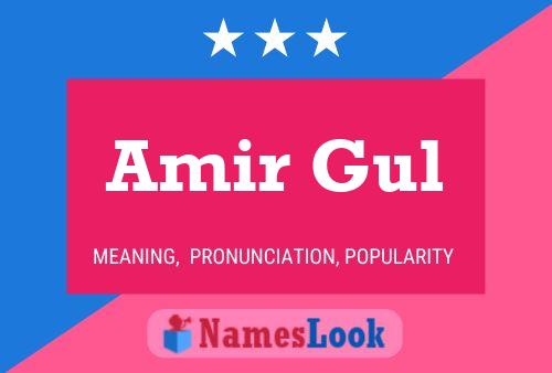 Póster del nombre Amir Gul