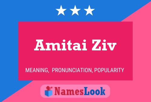 Póster del nombre Amitai Ziv