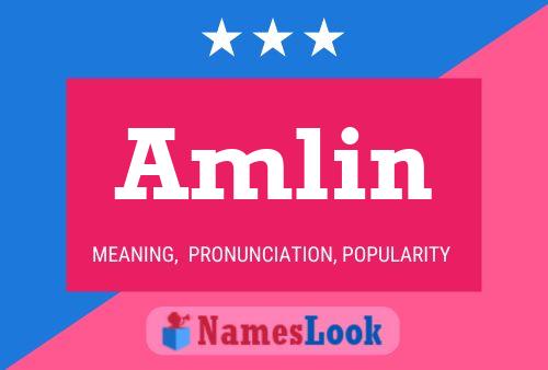 Póster del nombre Amlin