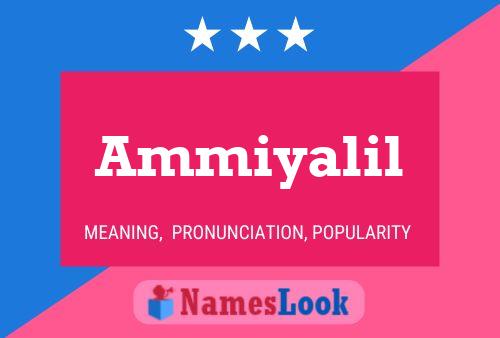 Póster del nombre Ammiyalil