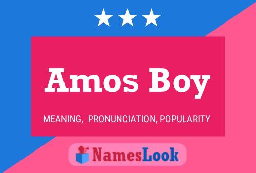 Póster del nombre Amos Boy