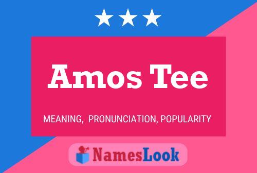 Póster del nombre Amos Tee