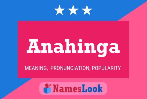 Póster del nombre Anahinga