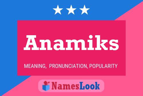 Póster del nombre Anamiks