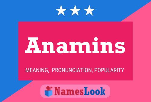 Póster del nombre Anamins