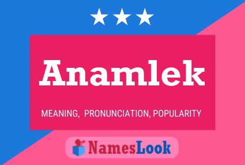 Póster del nombre Anamlek