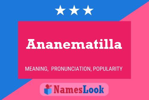 Póster del nombre Ananematilla