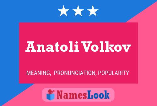 Póster del nombre Anatoli Volkov