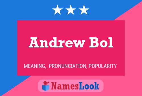 Póster del nombre Andrew Bol