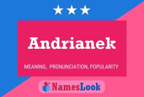 Póster del nombre Andrianek