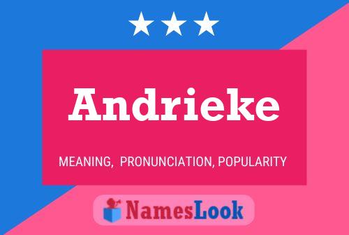 Póster del nombre Andrieke