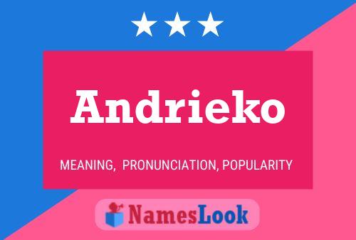 Póster del nombre Andrieko