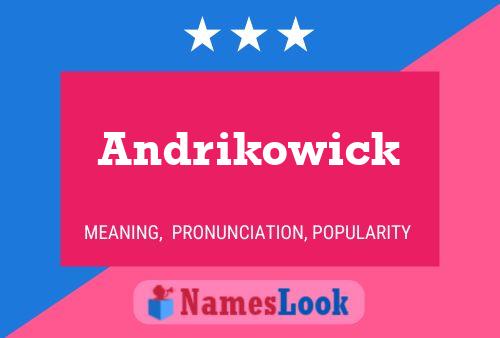 Póster del nombre Andrikowick