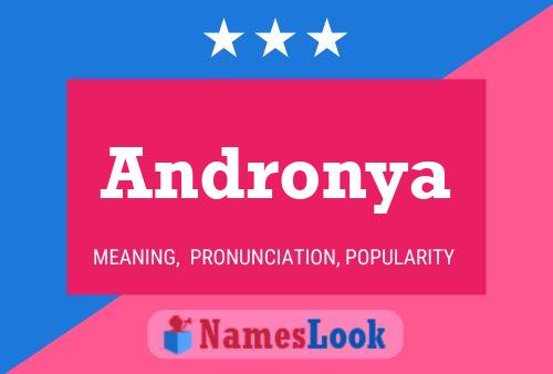 Póster del nombre Andronya