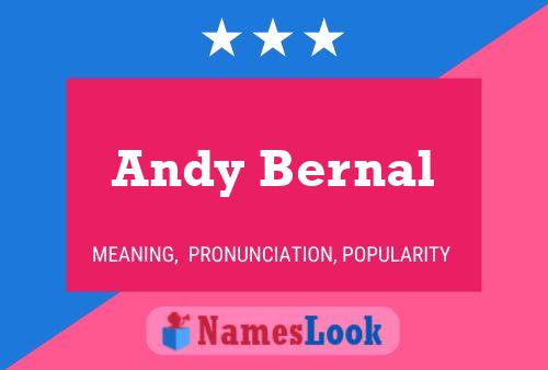 Póster del nombre Andy Bernal