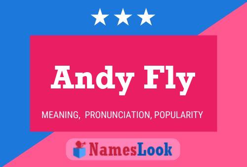 Póster del nombre Andy Fly