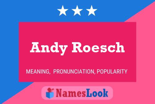 Póster del nombre Andy Roesch