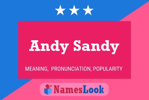 Póster del nombre Andy Sandy