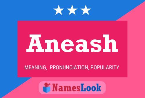 Póster del nombre Aneash