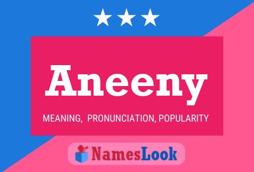 Póster del nombre Aneeny