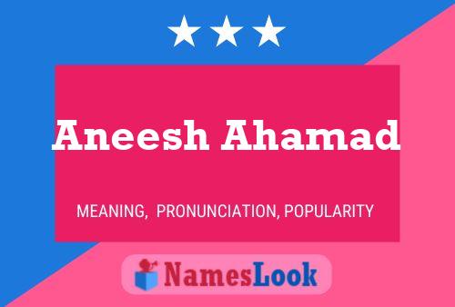 Póster del nombre Aneesh Ahamad