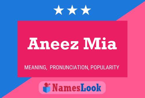 Póster del nombre Aneez Mia