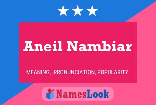 Póster del nombre Aneil Nambiar