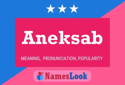 Póster del nombre Aneksab