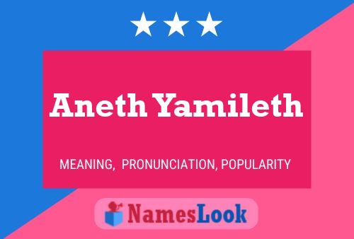 Póster del nombre Aneth Yamileth