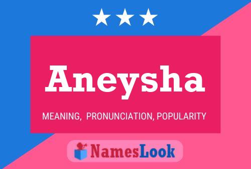 Póster del nombre Aneysha