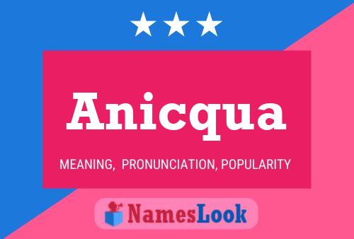 Póster del nombre Anicqua