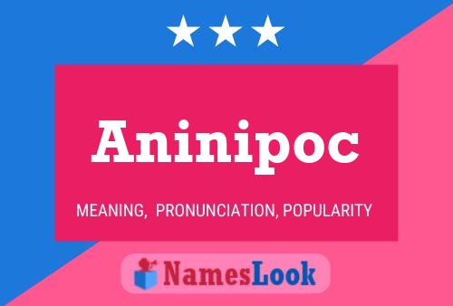 Póster del nombre Aninipoc