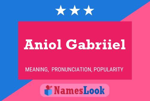 Póster del nombre Aniol Gabriiel