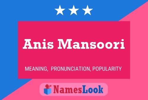 Póster del nombre Anis Mansoori