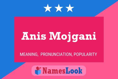 Póster del nombre Anis Mojgani