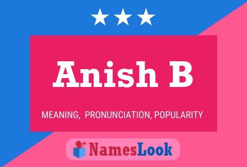 Póster del nombre Anish B