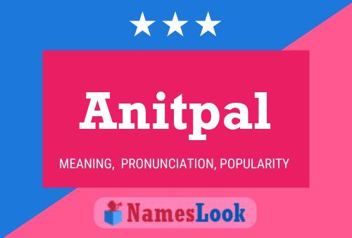 Póster del nombre Anitpal