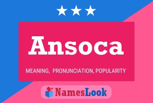 Póster del nombre Ansoca