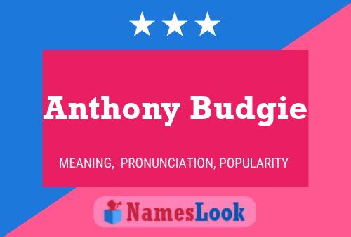 Póster del nombre Anthony Budgie