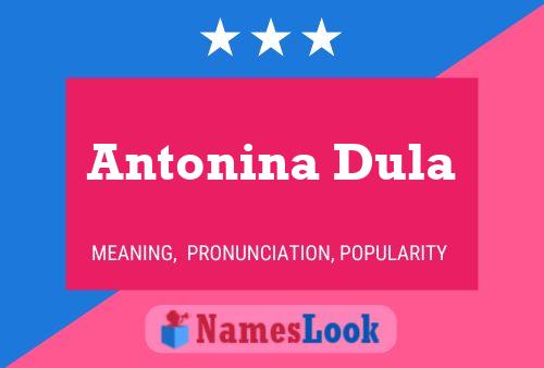 Póster del nombre Antonina Dula